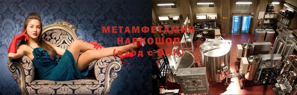 ПСИЛОЦИБИНОВЫЕ ГРИБЫ Беломорск