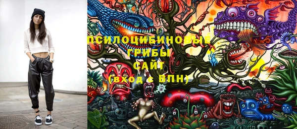 ПСИЛОЦИБИНОВЫЕ ГРИБЫ Беломорск