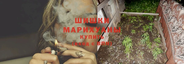 mix Богородицк