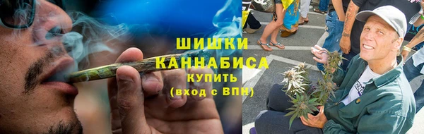 мдпв Богородск