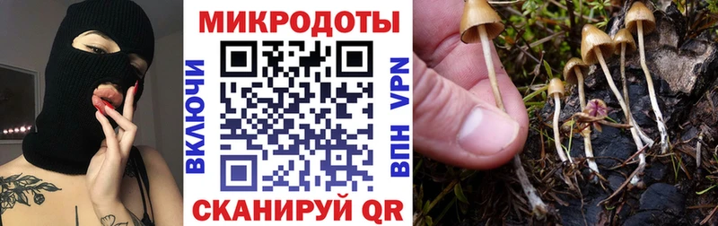 кракен tor  Обь  Псилоцибиновые грибы MAGIC MUSHROOMS 