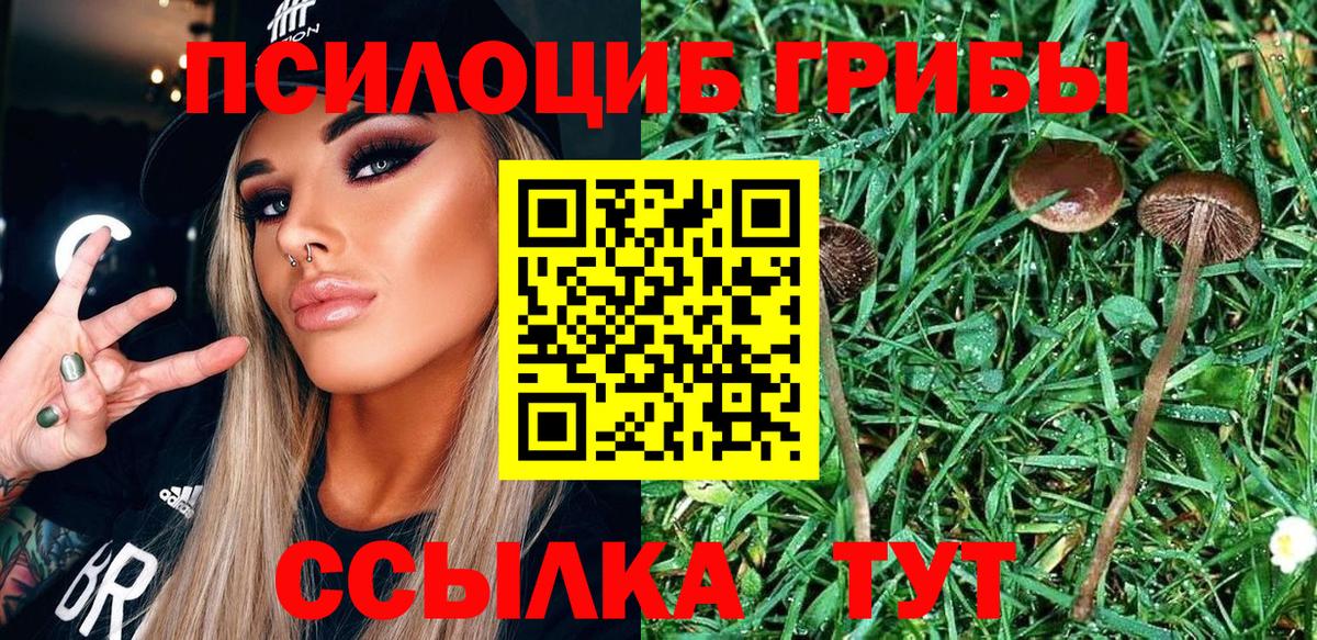 Псилоцибиновые грибы ЛСД  Вход с VPN  Псилоцибиновые грибы Cubensis  Обь 